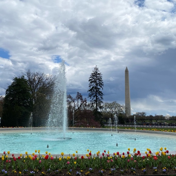 Meet your Posher, Shelly - Picture 1 of 1